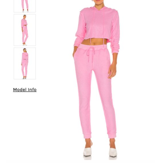 Danielle Guizio Pink Sweatsuit Set (Crop Hoodie & Sweatpants) - Picture 2 of 3